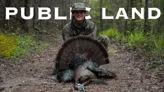 How to Kill a Turkey on PUBLIC LAND  in Georgia | Georgia Public Land Turkey Hunting 2024