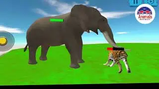 Tiger vs Elephant Giant Animal Fights Videos