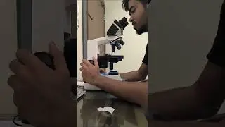 slide view #labwork #pathology #bloodtest #labvisitwithwasef
