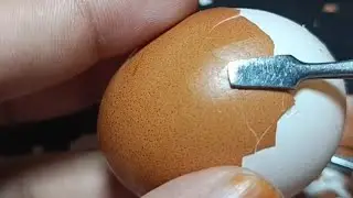 Raw Egg Peeling & Name Writing | Fun & Satisfying