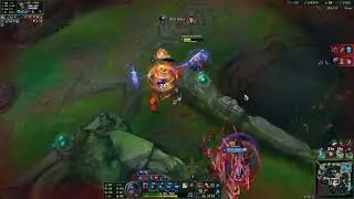 Shen comp 2