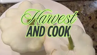 Соберите урожай и приготовьте нашу белую патиссоновую тыкву!