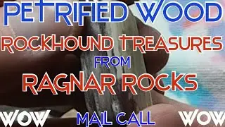 PETRIFIED WOOD GIFTS - ROCKHOUND TREASURES FROM RAGNAR ROCKS - CHRISTMAS MAIL CALL - WOW AND WOW