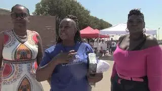 The 46th Annual Blues and Heritage Festival