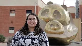 Phoenix Chinese Culture and Cuisine Festival 2019