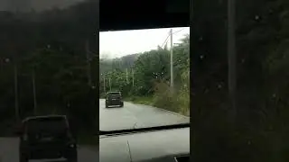 Chalet Dusun, Pos Kuala Mu...
