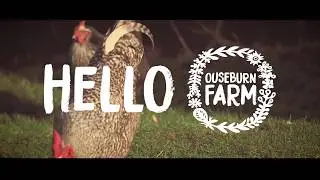 Ouseburn Farm: Little by Little