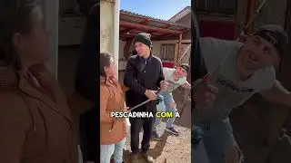 Na casa quem manda é o galo …
