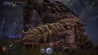 Wylder + Morgott's Cursed Sword = Easy Game