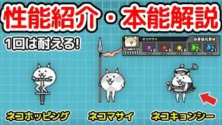 ネコホッピング / ネコキョンシー 性能紹介 本能解説｜どんな攻撃も1回は耐える！【にゃんこ大戦争】
