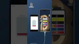 Recharge your marketing system with Brandatomy