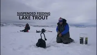 Locating and Catching Schooling Lake Trout