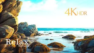 Relaxing Piano & Nature Scenery in 4K | Calm Mind, Release Stress & Unwind