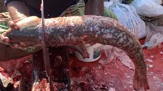 I never seen ll amazing big Rouifish cutting live skills by expert fish cutter in Fishmarket 