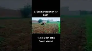 G1 garlic land preparation for 2023 #agriculture #g1 #garlic
