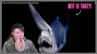 THIS IS WHY I HATE THE OCEAN!!-[ Thalassophobia] #5
