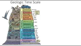 Life _ Evidence in the Fossil Record