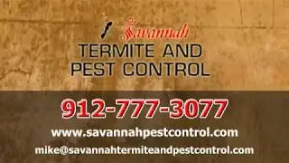 Our Commercial Pest Control | Savannah, GA - Savannah Termite and Pest Control