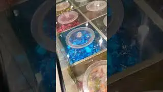 pothys supermarket, kochi#shortsfeed #shorts #trending #trendingreels