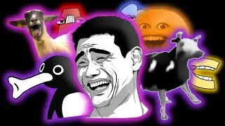 Memes 