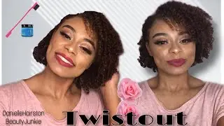 Defined Twistout on Natural Hair Pantene Gold Series