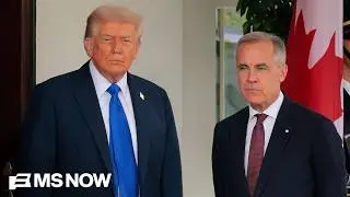 'It's ridiculous the way he operates': Democratic Congresswoman BLASTS Trump's trade war with Canada
