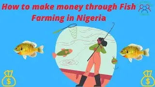 How to make money through fish farming in Nigeria