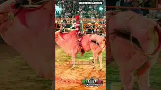 ‼️BROCA CAÍDAS Y ESPECTÁCULO‼️MARAVILLA DE GTO VS EL BERLÍN DE LOS DESTRUCTORES EN SALVATIERA GTO.