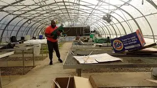 Greenhouse Clean Up | EBLLC, Inc.