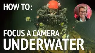 Scuba Tips: How to Focus an Underwater Camera in Dark Water