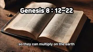 EB16 Genesis 8 12 - 22