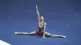 Vitaliy Guimaraes - 2015 JO Nationals - Level 9 JE