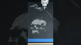 The Raven #drawing #skull #generativeart #plotter #cnc #gelpens #timelapse