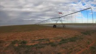 Fertilizing winter wheat