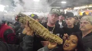 2 pound joint 78 year old smoking it. 4:20 pm 2016 Emerald Cup Santa Rosa CA