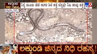 Lakkundi Excavation 13th Day: ಲಕ್ಕುಂಡಿಯಲ್ಲಿ ಉತ್ಖನನ ನಡೆಯುತ್ತಿರುವ ಸ್ಥಳದಲ್ಲಿ ಕಾಣಿಸಿಕೊಂಡ ಹಾವು