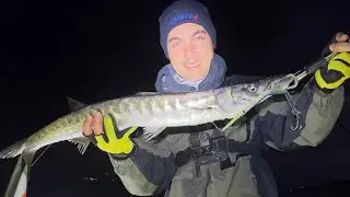 MOSTRO DI BARRACUDA a SPINNING!! POLPO e seppia ad EGING!! ALLETTERATI a Traina Costiera!!