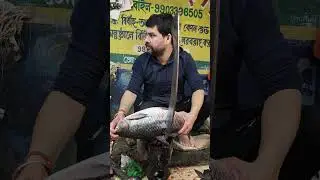 🔴 Rui fish cutting |Rui fish cutting video |Fresh Rui fish cutting |Rui fish cutting skills #RuiFish