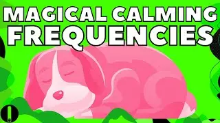 Dog Calming Frequency 4