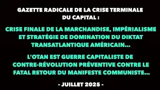 Francis Cousin : Gazette radicale de la crise terminale du Capital - Juillet 2025