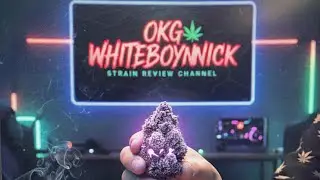 BLUE GUMBO!!! STRAIN REVIEW!! 🔥💨 