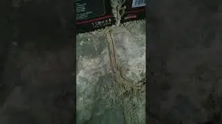 Termite attack in oil godown