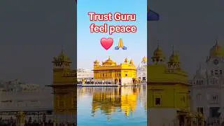 Trust Guru feel peace ❤️🙏 | #shorts #dharmik #harmandirsahib #amritsar #waheguru #wmk