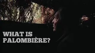 Palombière. The tradition of wild pigeons hunting in south-west France.
