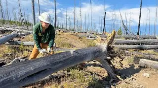 Day in the Life on an MCC Hitch in Yellowstone National Park