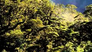 Stonevalley -Hybrid (Videoclip made from 