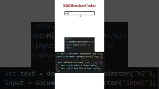 Color and Size changer using html css and javascript 