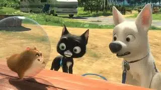 BOLT MEET RHINO