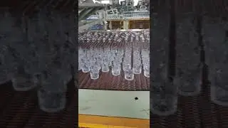Production line of China's glass factory