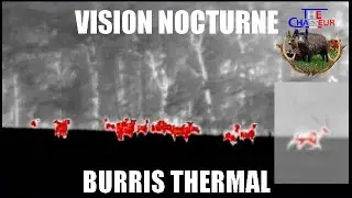 Vision Thermique / Burris thermal monoculaire ! Test et présentation !